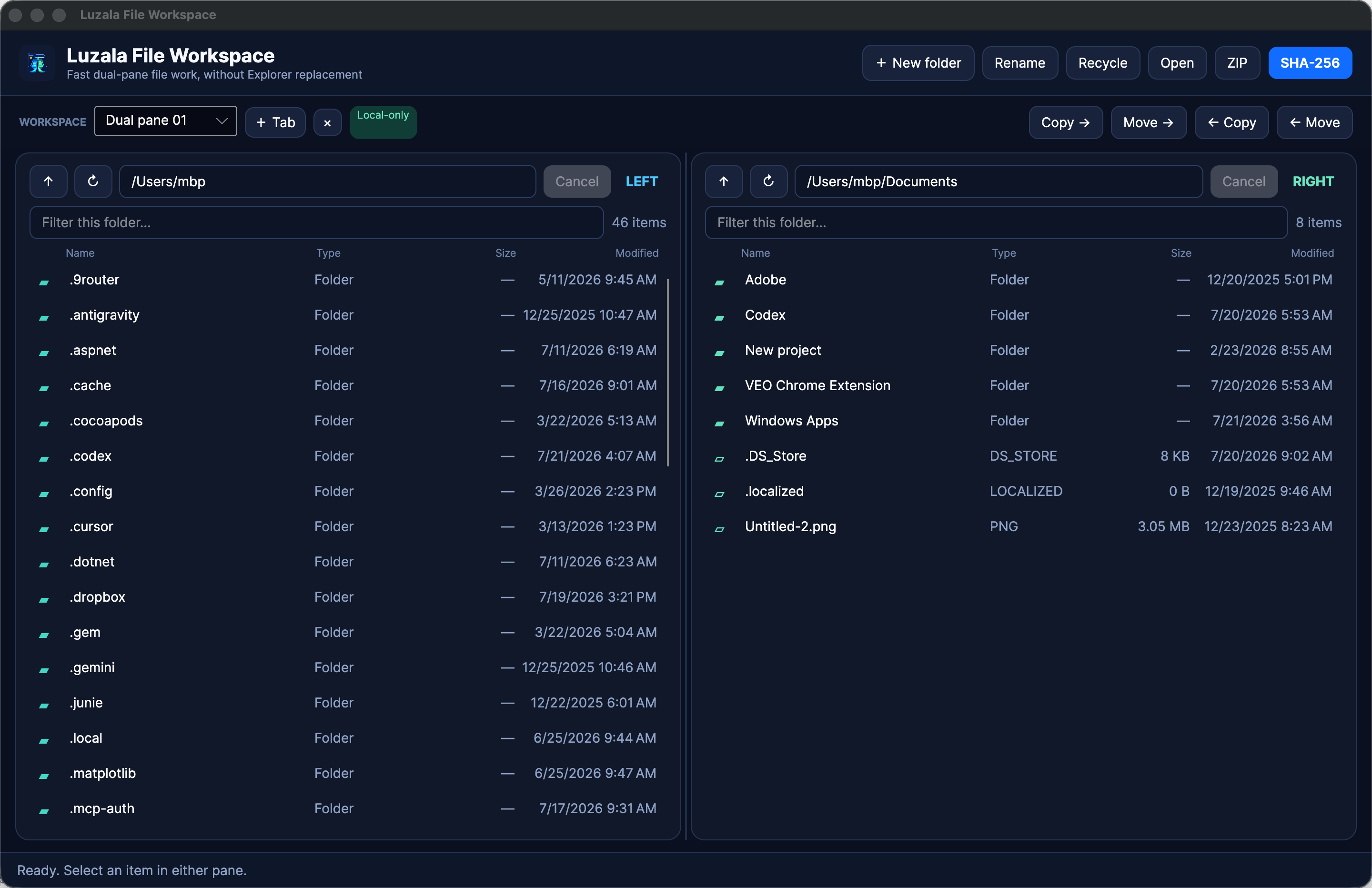Luzala File Workspace dual-pane interface